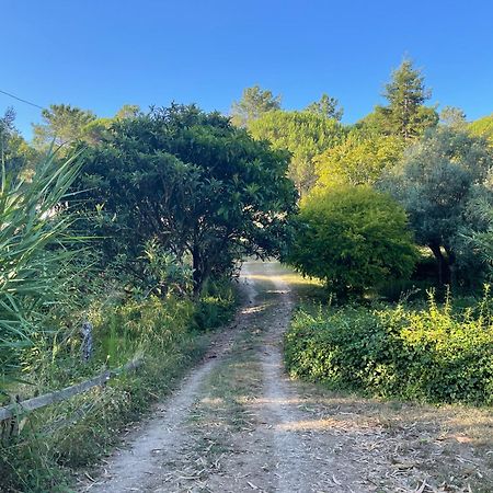 Nativo Natureza Pink Wood Cabin Cela  Εξωτερικό φωτογραφία